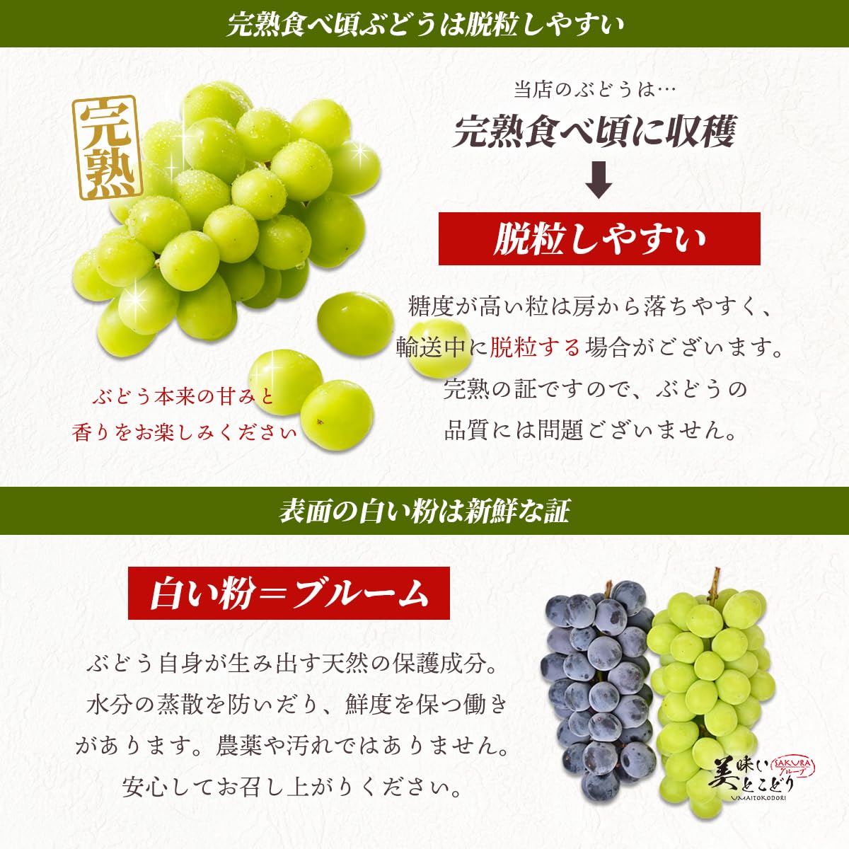 Amazon.co.jp: 美味いとこどり 高級 シャインマスカット 中粒サイズ 高